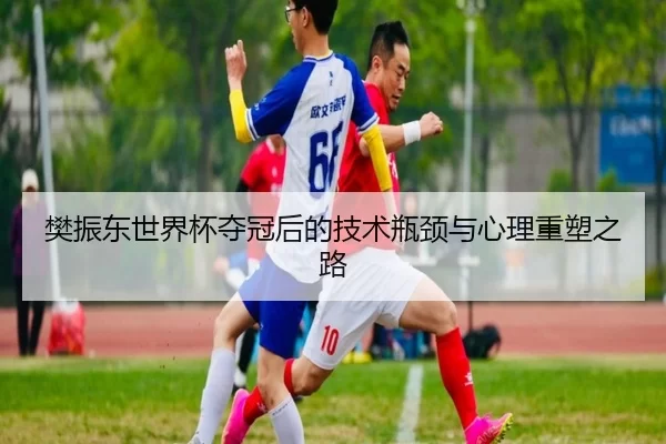 樊振东世界杯夺冠后的技术瓶颈与心理重塑之路