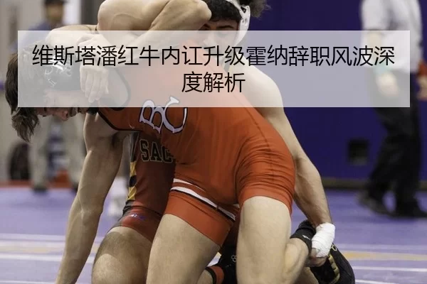 维斯塔潘红牛内讧升级霍纳辞职风波深度解析