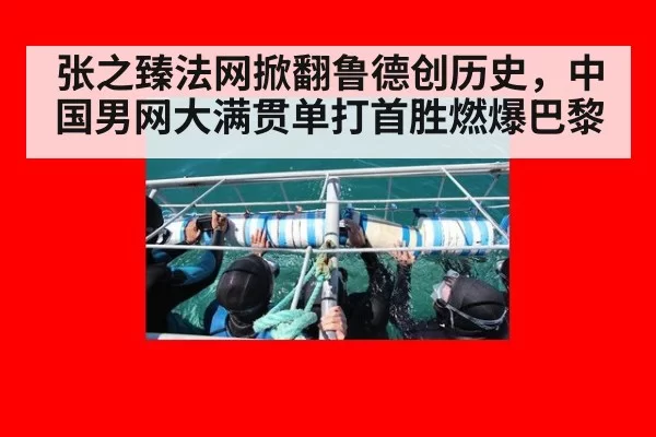 张之臻法网掀翻鲁德创历史,中国男网大满贯单打首胜燃爆巴黎